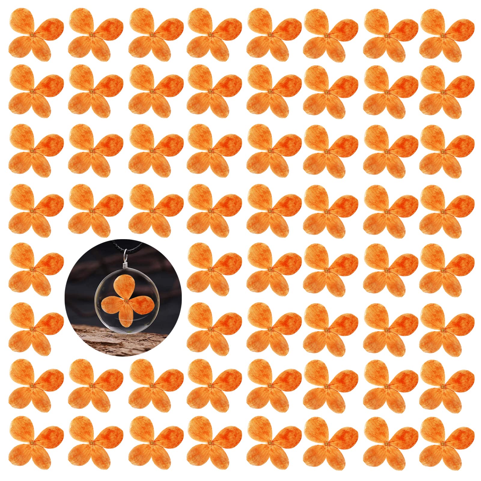 60PCS Pressed Flowers, Real Natural Orange Hydrangea Dried Flowers for Resin Scrapbooking DIY Candle Accessories Jewelry Art Cra