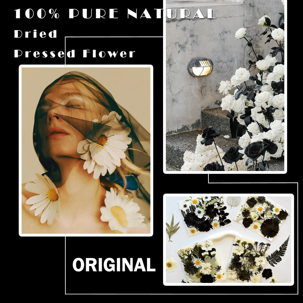 Mikiya 90Pcs Black Pressed Dried Flowers For Resin Molds, Real Natural Bulk Dry Floral Leave For Diy Art Crafts, Epoxy Jewelry,