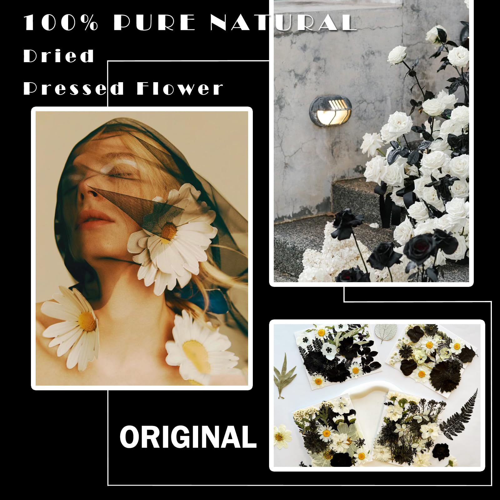 Mikiya 90Pcs Black Pressed Dried Flowers For Resin Molds, Real Natural Bulk Dry Floral Leave For Diy Art Crafts, Epoxy Jewelry,