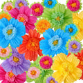 Large Colorful Tissue Paper Flowers 20 Giant Fiesta Paper Flowers Pom Paper Flowers Mexican Carnival Party Wall Backdrop Decorat