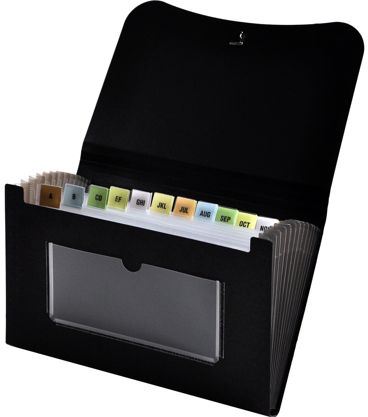 Lion 13-Pocket Small Ex Panding File, 5-3/4 X 8-1/2 Inches, Black, 1 File (94300-Bk)