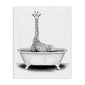 Stupell Industries Giraffe In A Tub Funny Animal Bathroom Drawing, Design by Rachel Neiman Wall Art, 16 x 20, Canvas