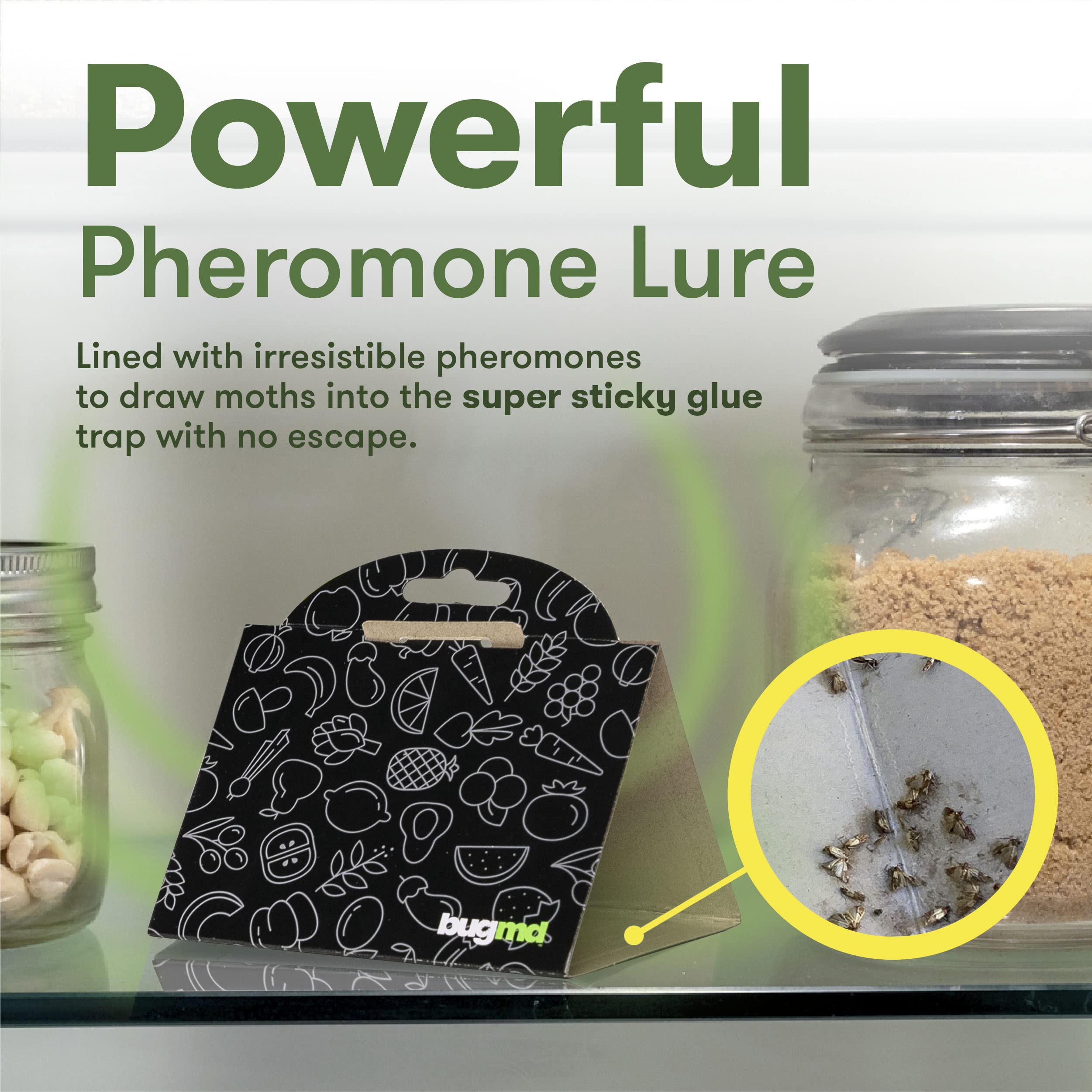 Bugmd Pantry Pest Patrol (6 Count, Black) - Moth Traps For Kitchen, Pantry Moth Trap, Bug Trap, Moth Traps For House Pantry, Get