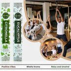 Trumiri Incense Sticks - Combo Pack Of 40 Insence-Sticks - 20 Citronella + 20 Eucalyptus - Insenses - Insents - Incents - Inscen