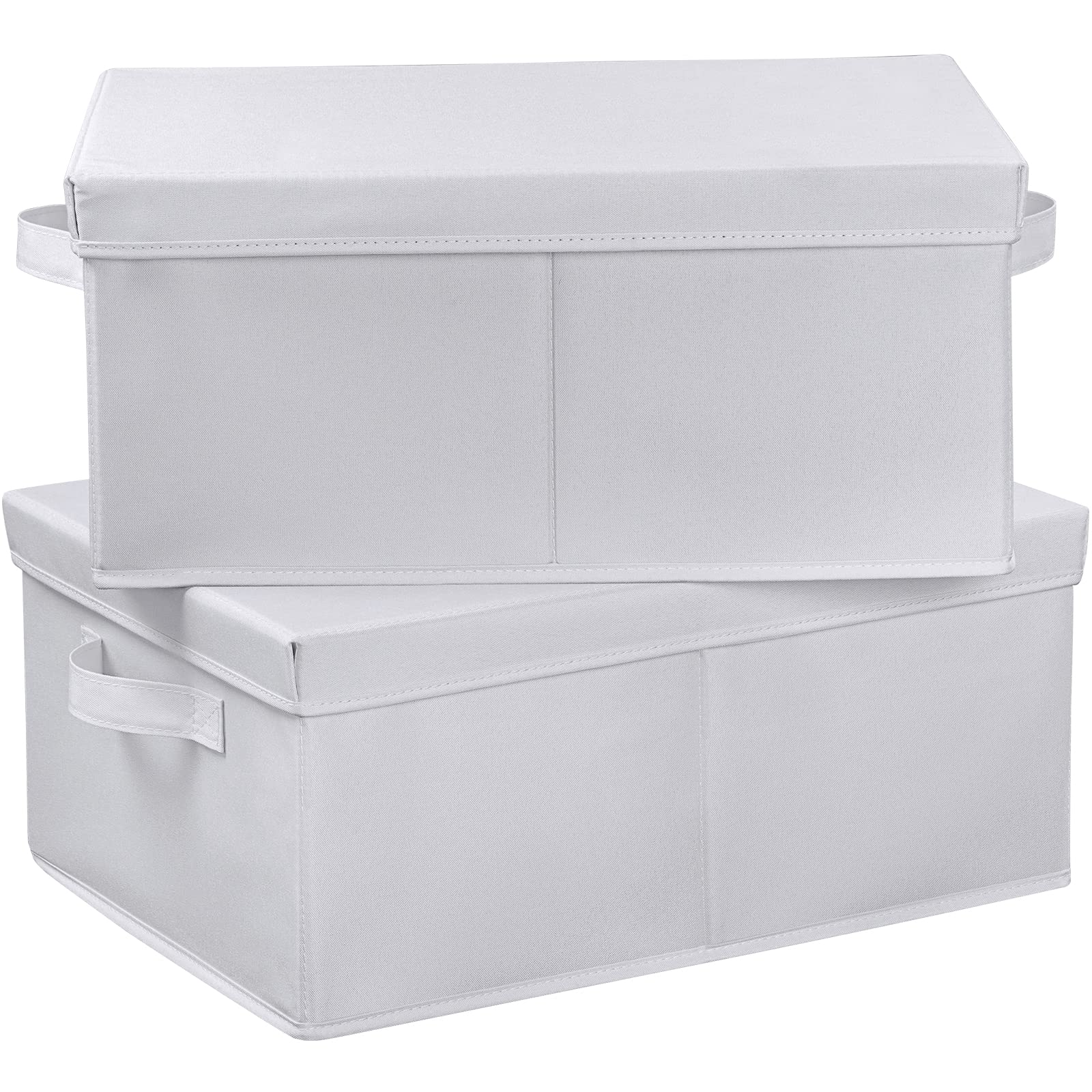 HOONEX Storage Bins with Lids for Organizing, Pack of 2, Storage Boxes with 2 Carrying Handles and Sturdy Heavy Cardboard, 16.5 