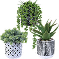 Winlyn 3 Pcs Small Potted Succulents Plants Artificial Aloe Hops String of Pearls Succulents in Black and White Concrete Pots fo