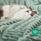 Bedsure Sherpa Blanket Queen Size, 90x90 Inches, Sage Green - Super Soft Plush Fleece Blanket for Cozy Winter Warmth