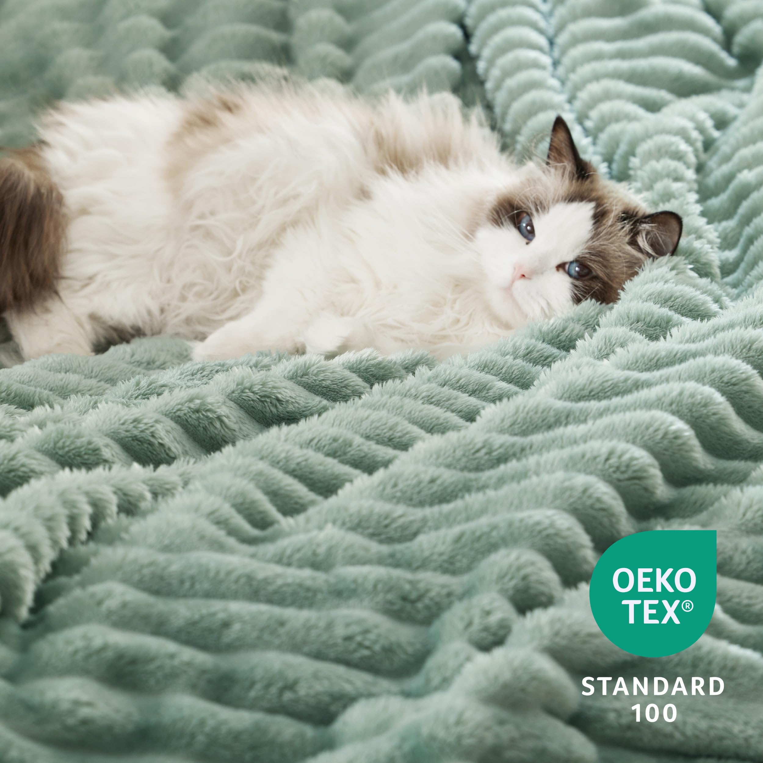 Bedsure Sherpa Blanket Queen Size, 90x90 Inches, Sage Green - Super Soft Plush Fleece Blanket for Cozy Winter Warmth