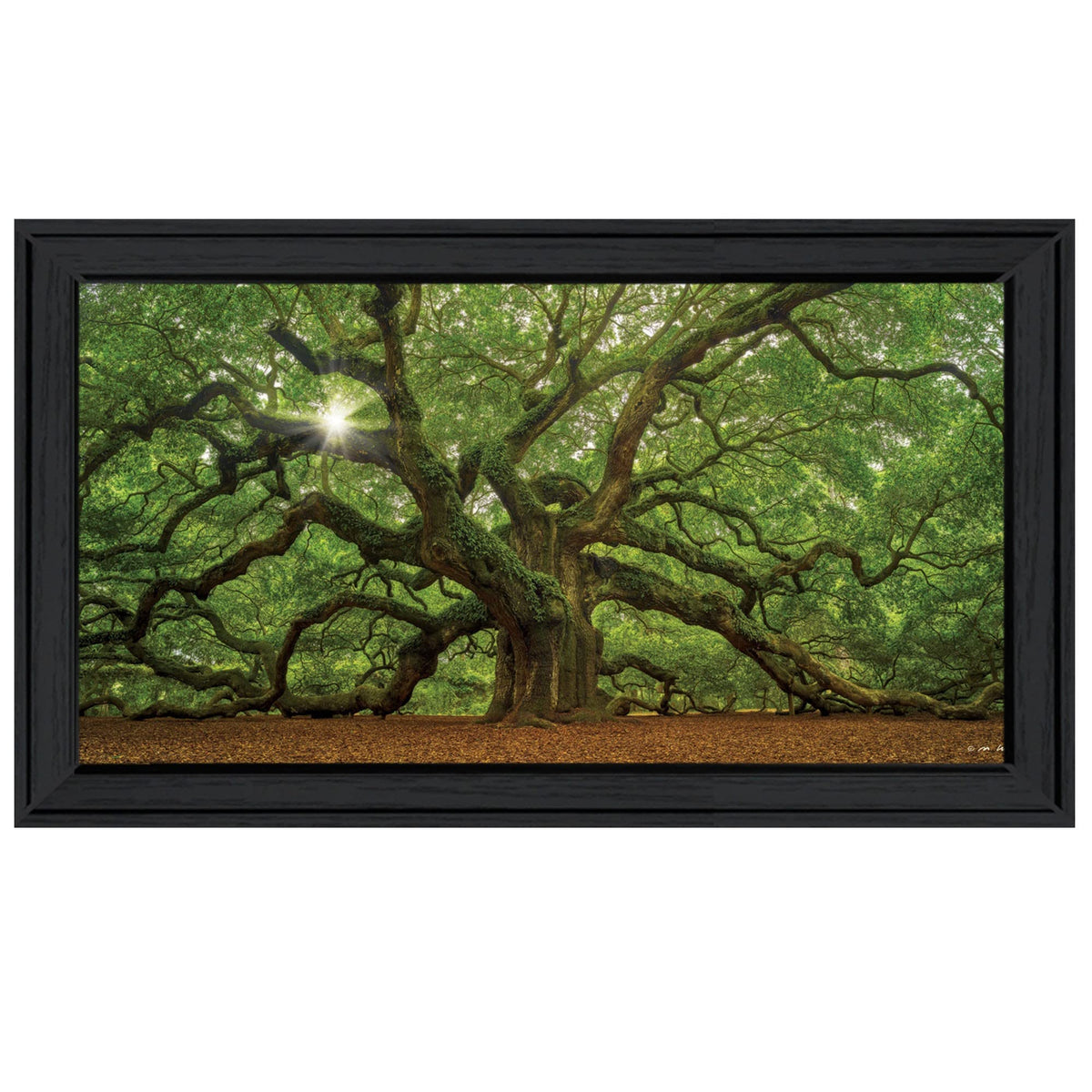 Mighty Moss Laden Tree Black Framed Print Wall Art