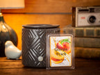 The Candle Daddy Georgia Peach - Southern Peach Fruit Scent - Maximum Scented Wax Cubes/Melts- 5 Packs -10 Ounces Total- 30 Cube