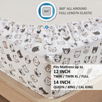 Comfort Spaces Cotton Flannel Breathable Warm, Deep Pocket Sheets With Pillow Case Bedding, Queen, Grey/Pink Cats 4 Piece
