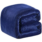 Fleece Blanket Twin Size 350Gsm Lightweight Throw For The Bed Extra Soft Brush Fabric Super Warm Sofa Blanket 66' X 90'(Royal