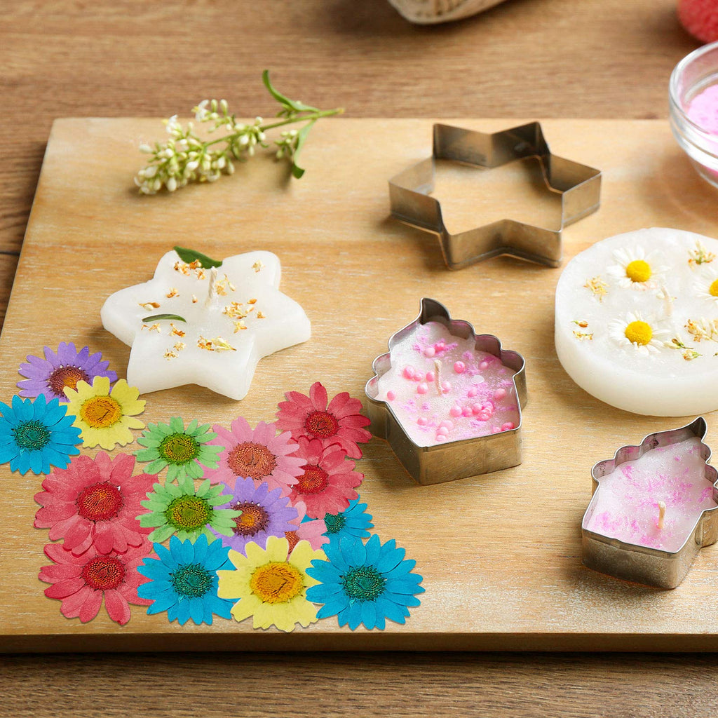 Nuanchu 84 Pcs Dried Pressed Flowers Real Pressed Dried Flowers Dried Daisy Flowers Multiple Colorful Resin Dried Flowers For Cr