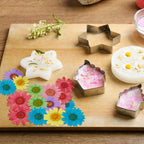 Nuanchu 84 Pcs Dried Pressed Flowers Real Pressed Dried Flowers Dried Daisy Flowers Multiple Colorful Resin Dried Flowers For Cr