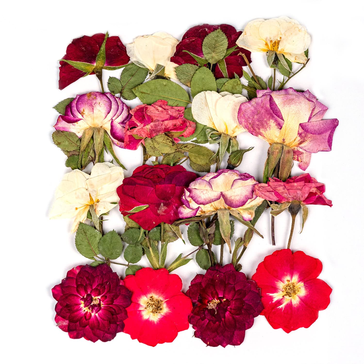 16 Pcs Dried Pressed Flowers, Nauture Pressed Rose, Multi Color Dry Rose, Real Pressed Flora For Diy Jewelry Candle Soap Vase Ma