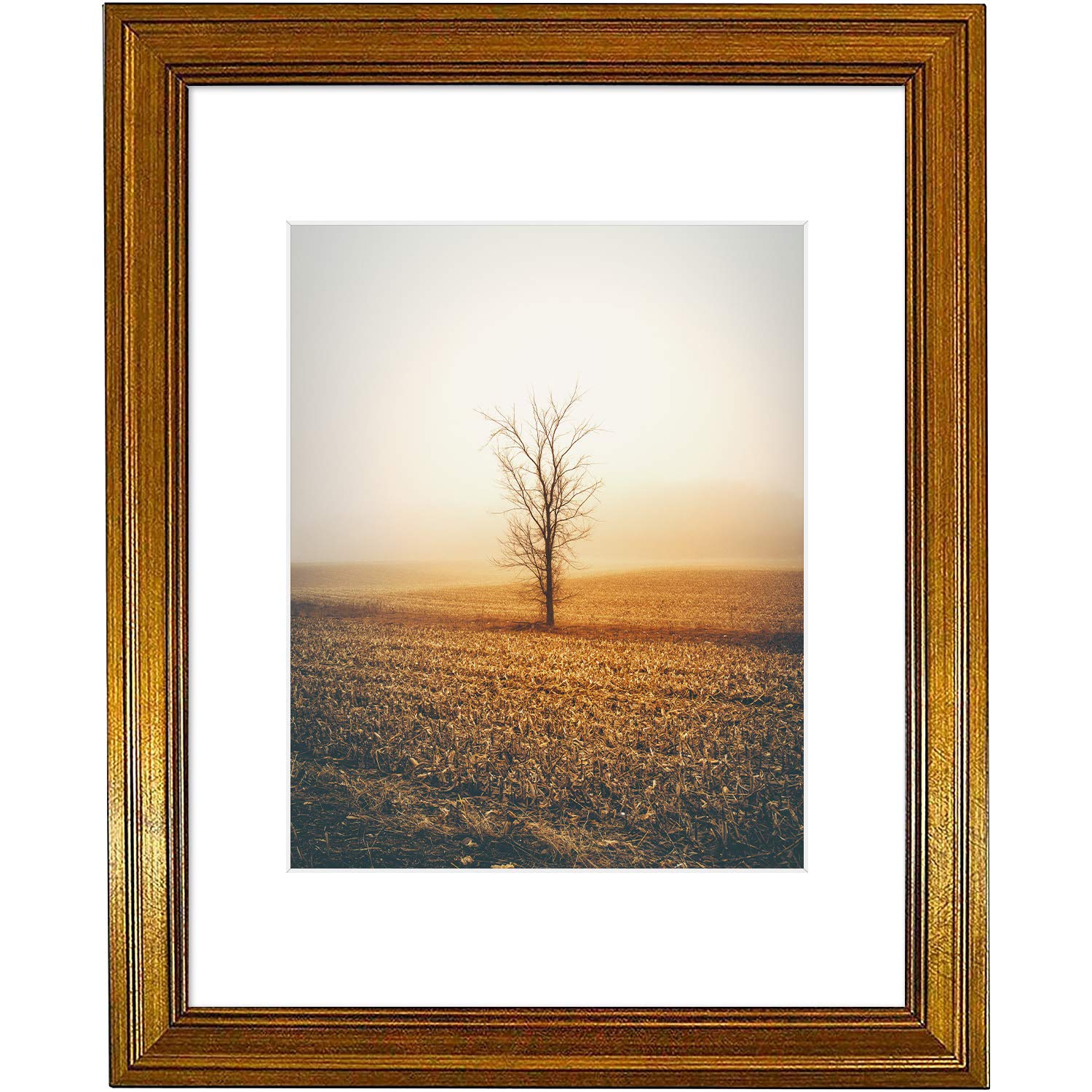 Golden State Art, 11x14 Photo Frame with White Mat for 8x10 Pictures & Real Glass, 1.25-Inch Wide, Dark Gold