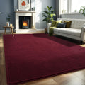 Larhom Super Soft Living Room Rugs, 6x9 Feet Burgundy Red Rugs for Bedroom, Non-Shedding Carpet for Home Decor, Kids Nursery Rug