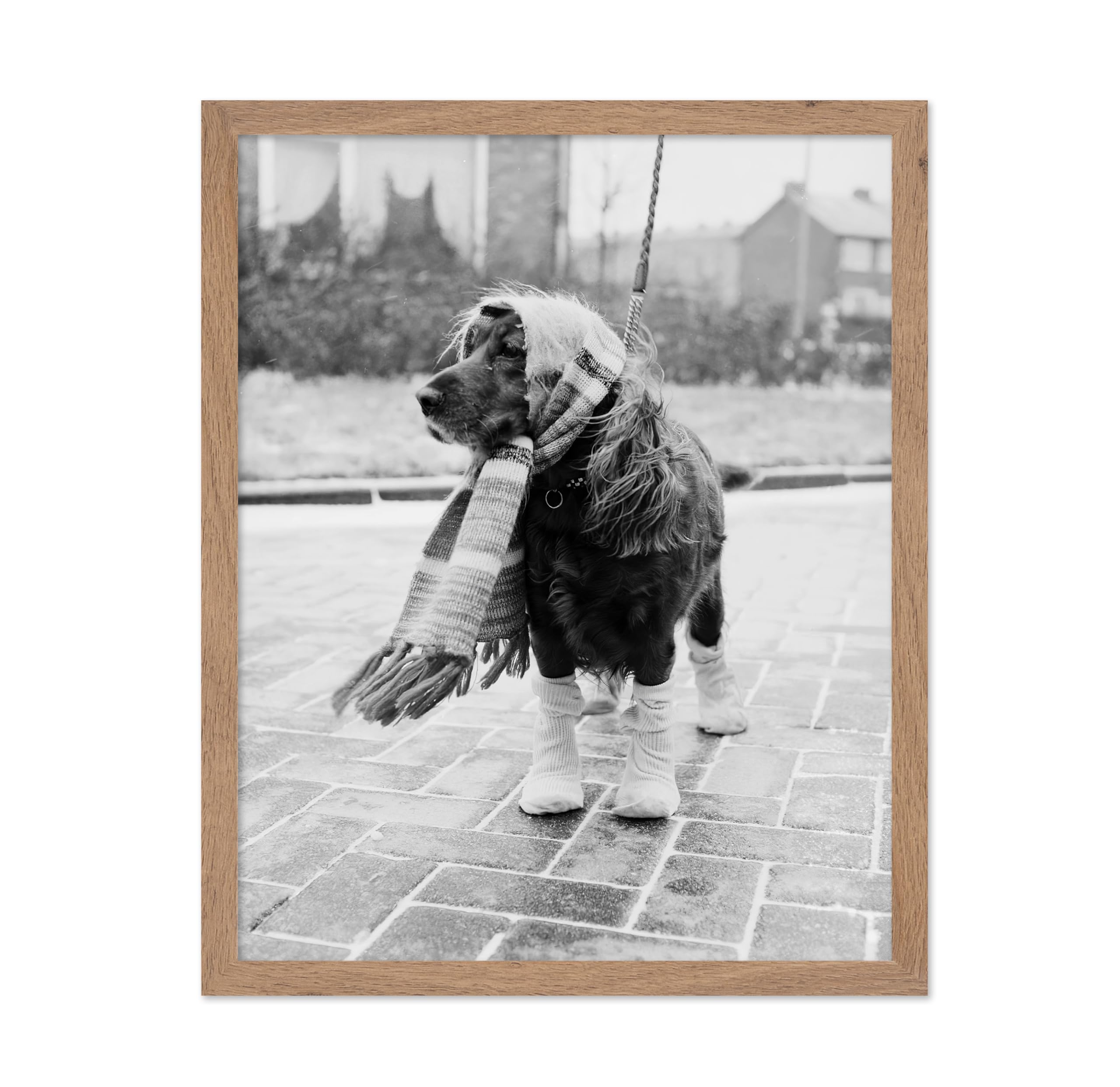 Poster Master Vintage Dog Poster - Retro Dog Dressed for Winter Print - Dog Fashion Art - Photography Art - Funny Gift for Him, 