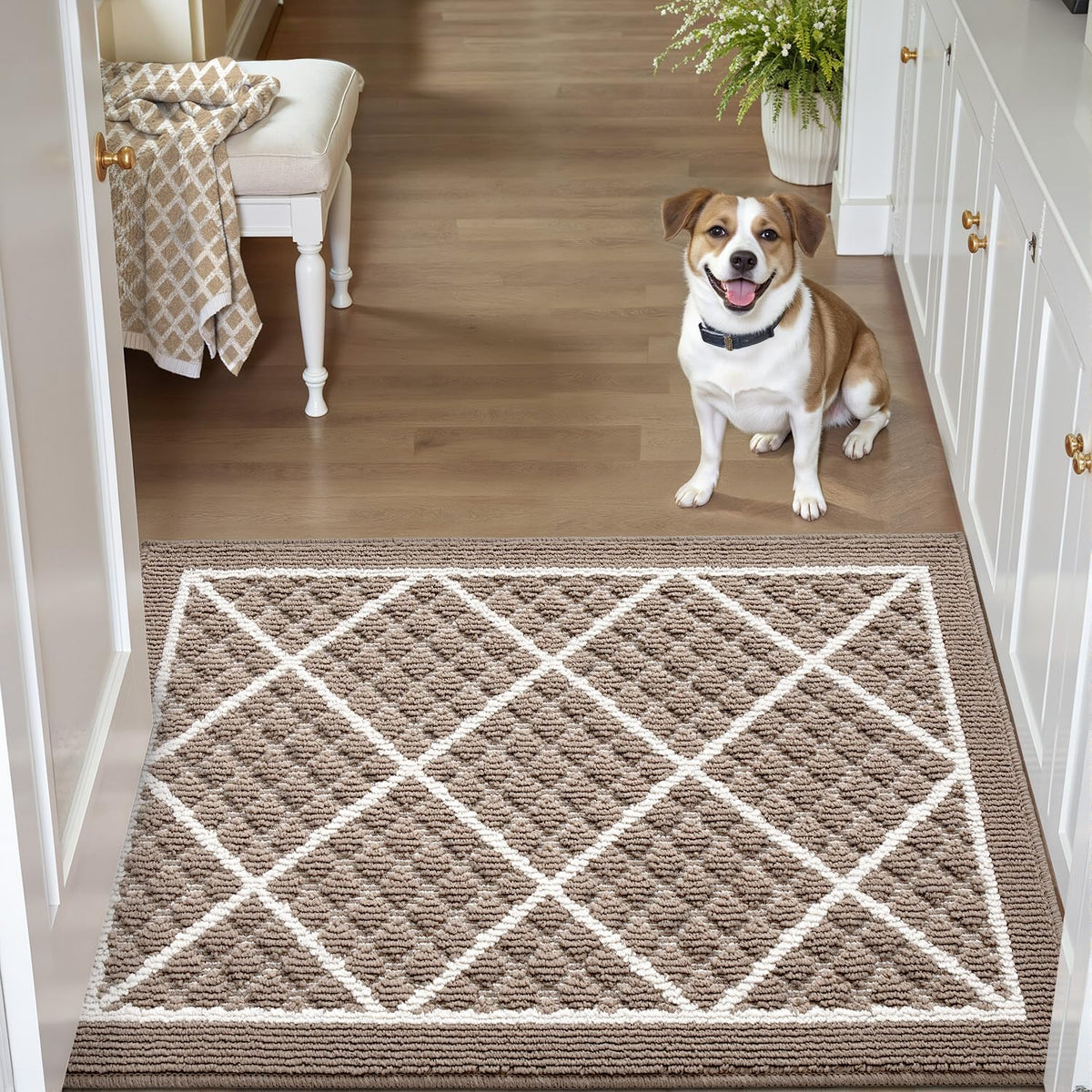 Dexi Front Door Mat 24X36, Non Slip Absorbent Entryway Doormat, Low Profile Thin Washable Entry Mats For Inside Home Entrance, G