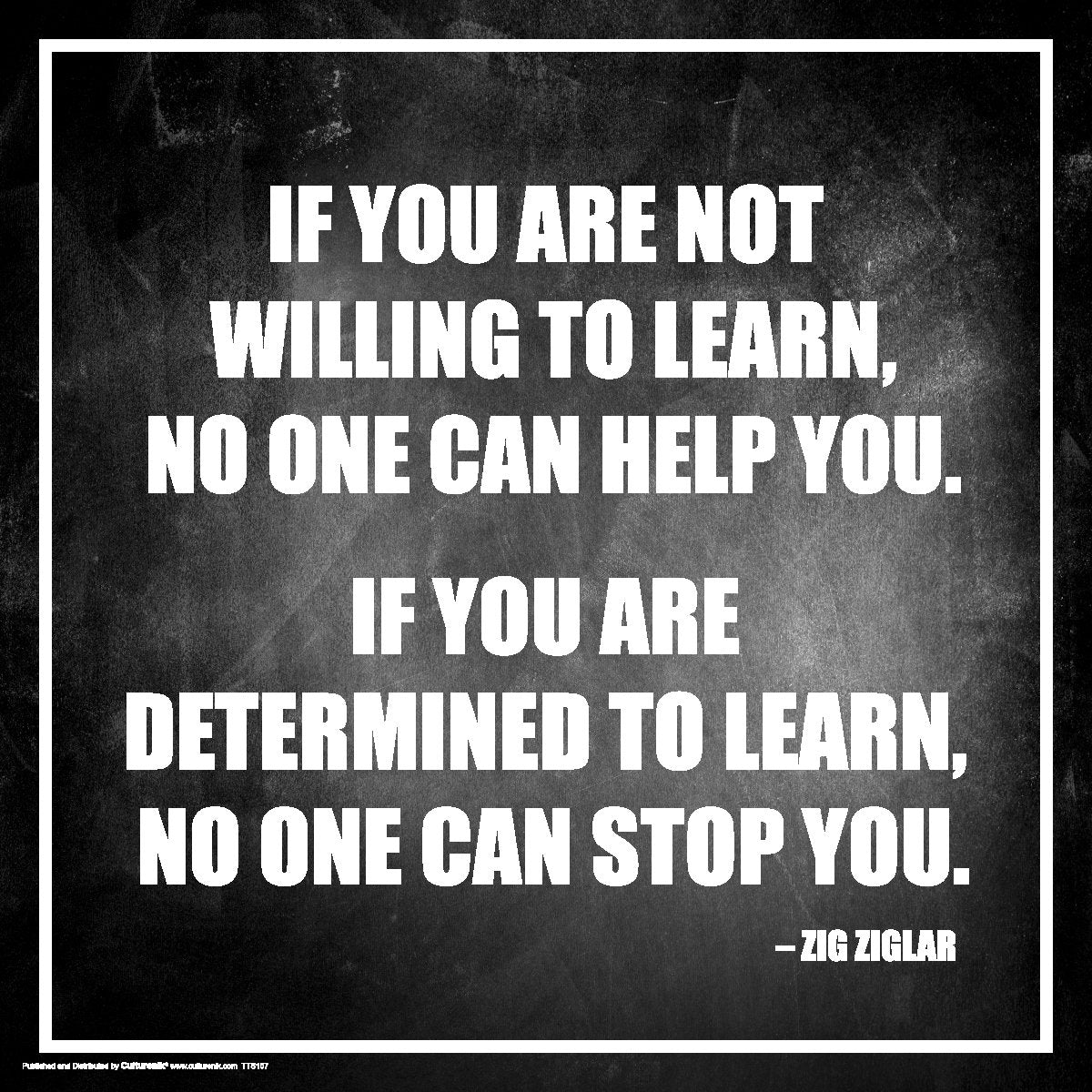 Culturenik Hilary Hinton Ziglar Determined to Learn Inspirational Motivational Speaker Author Celebrity Quote Classroom Print (U