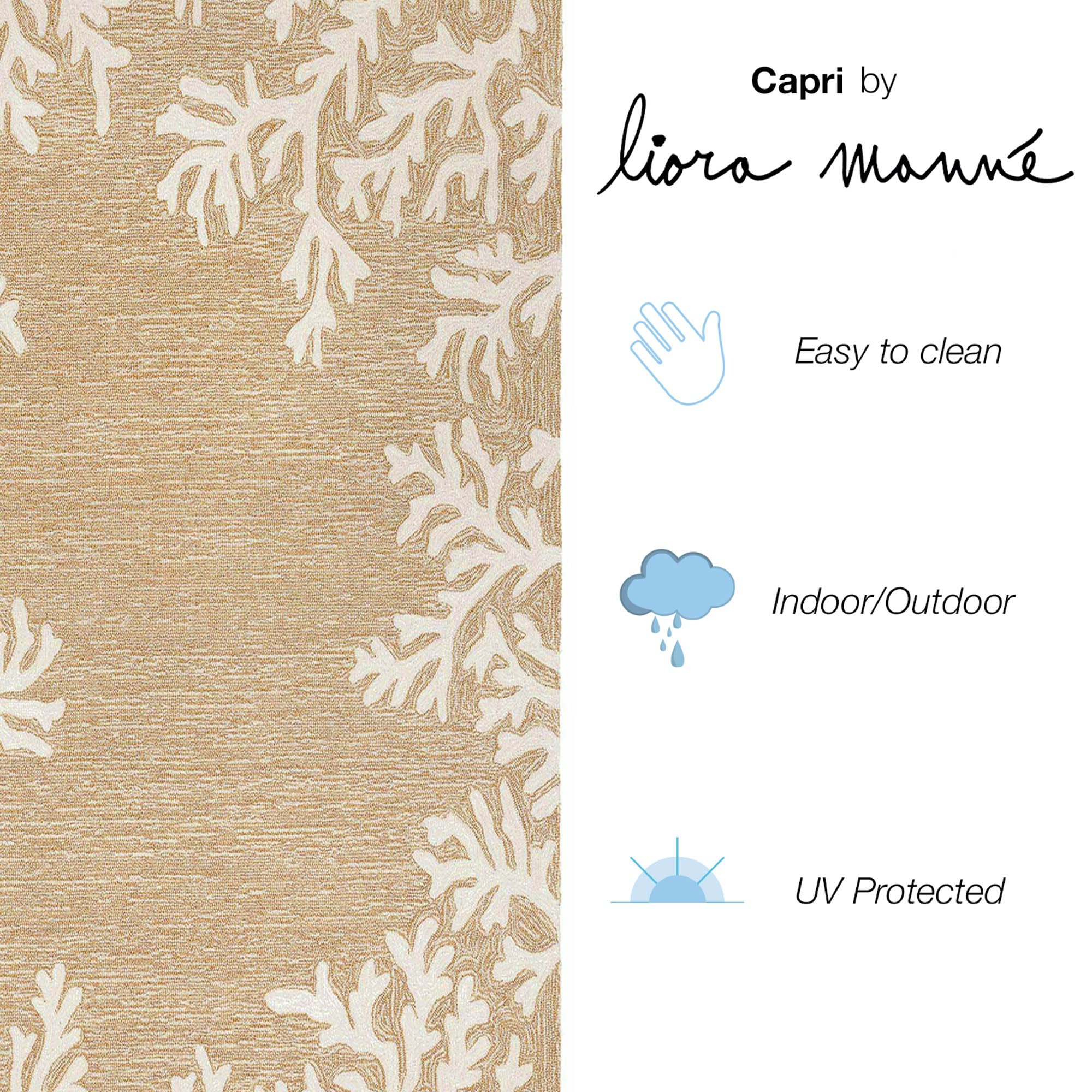 Liora Manne Capri Indoor/Outdoor Handmade Synthetic Blend Durable Area Rug - Traditional Border Coastal Beach Accent (Coral Border Neutral) (2'6' X 4')