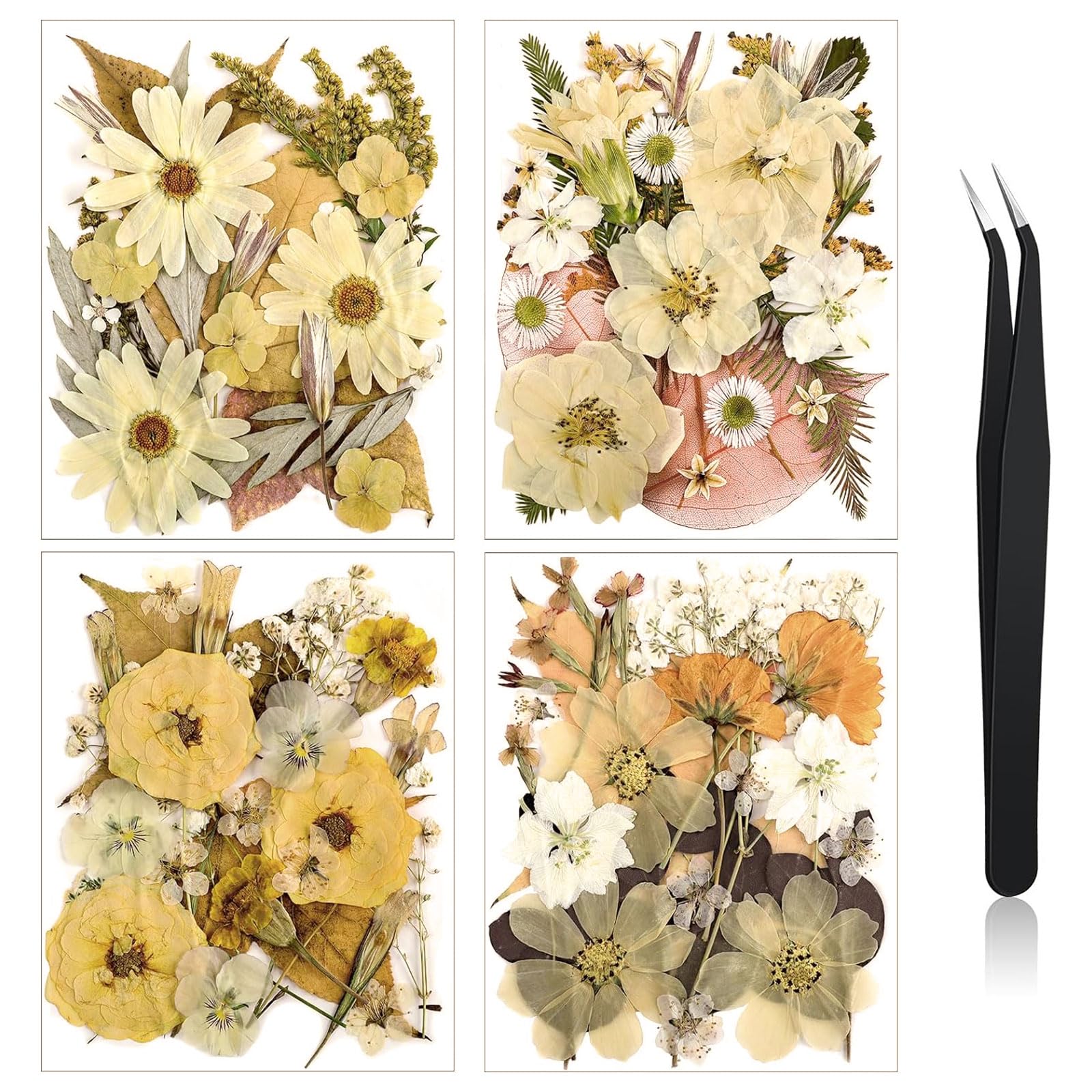Nuanchu Pressed Flowers Bulk Dried Flower For Crafts, Dried Flower Leave Natural With Tweezer For Resin Mold Scrapbooking Diy (B