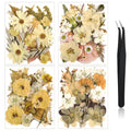 Nuanchu Pressed Flowers Bulk Dried Flower For Crafts, Dried Flower Leave Natural With Tweezer For Resin Mold Scrapbooking Diy (B