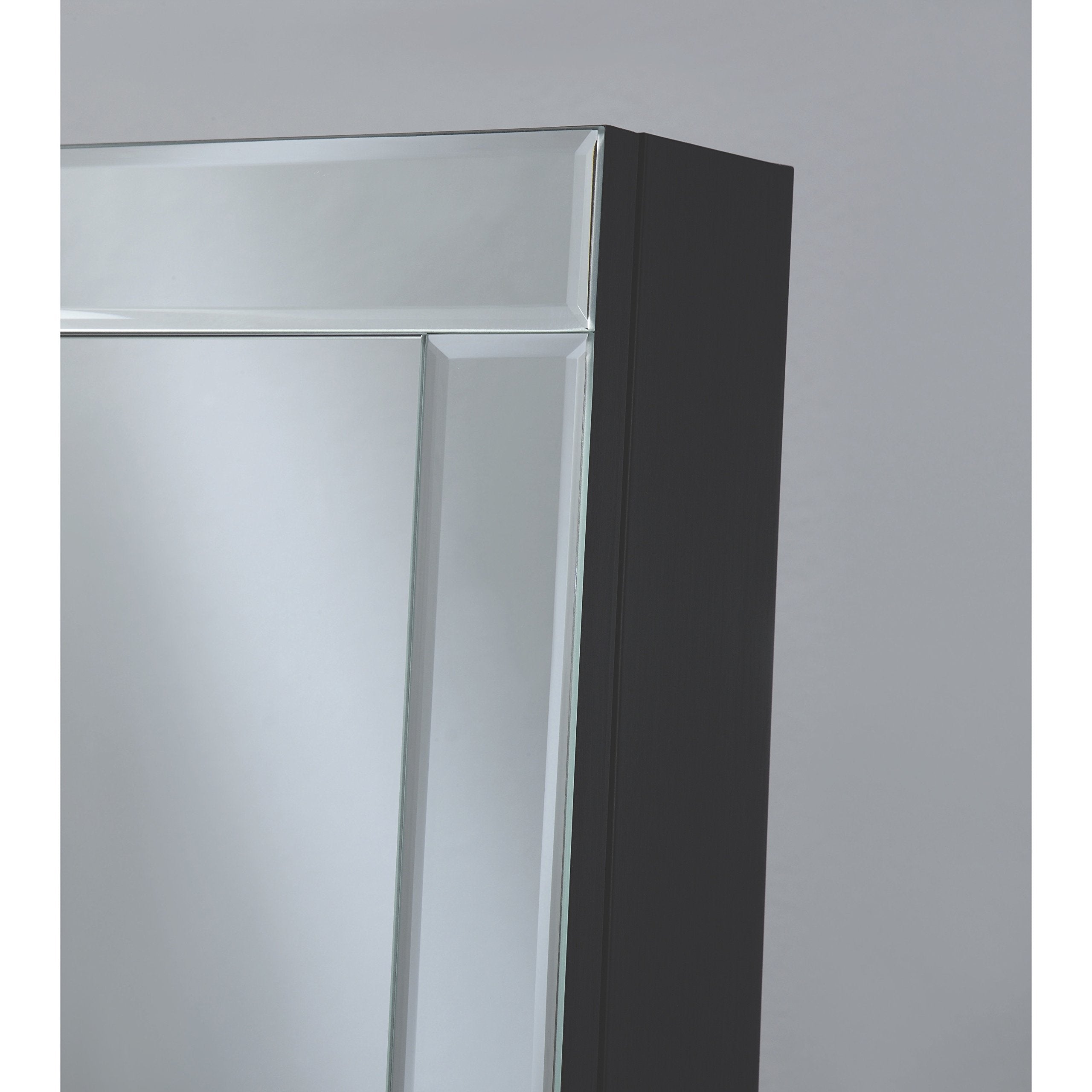 Coaster Home Furnishings Jewelry Cheval Mirror with Interior Storage, Black