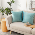 Nini All Decorative Throw Pillow Covers Pack Of 2, Velvet Cushion Case For Couch Bedroom Living Room Outdoor, Pillow Covers 20X2