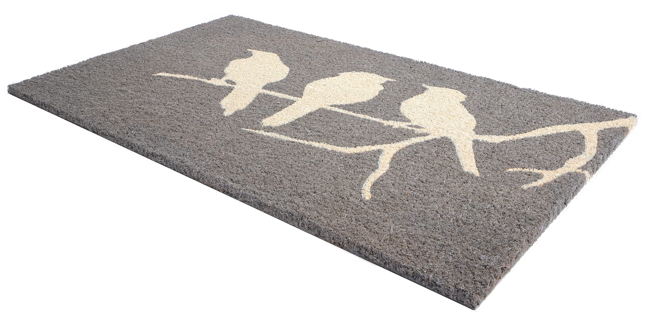 Fab Habitat Modern Non Slip Doormat - Durable, Thin - Natural Coir & Rubber - Entryway, Front Door, Porch, Patio - Black Border