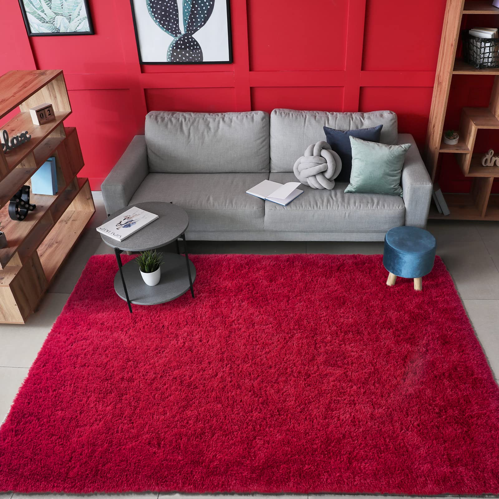 AROGAN Shag Modern Area Rug for Living Room, 5x8 Feet Washable Rugs for Bedroom, Indoor Floor Carpet Rugs, Plush Memory Foam Bes