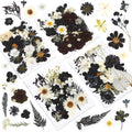Augshy Black Dried Pressed Flowers, 120 Pcs Halloween Dried Flowers for Resin Molds Real Pressed Flowers for Crafts DIY Jewelry 