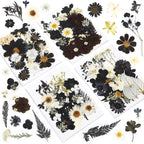 Augshy Black Dried Pressed Flowers, 120 Pcs Halloween Dried Flowers for Resin Molds Real Pressed Flowers for Crafts DIY Jewelry 
