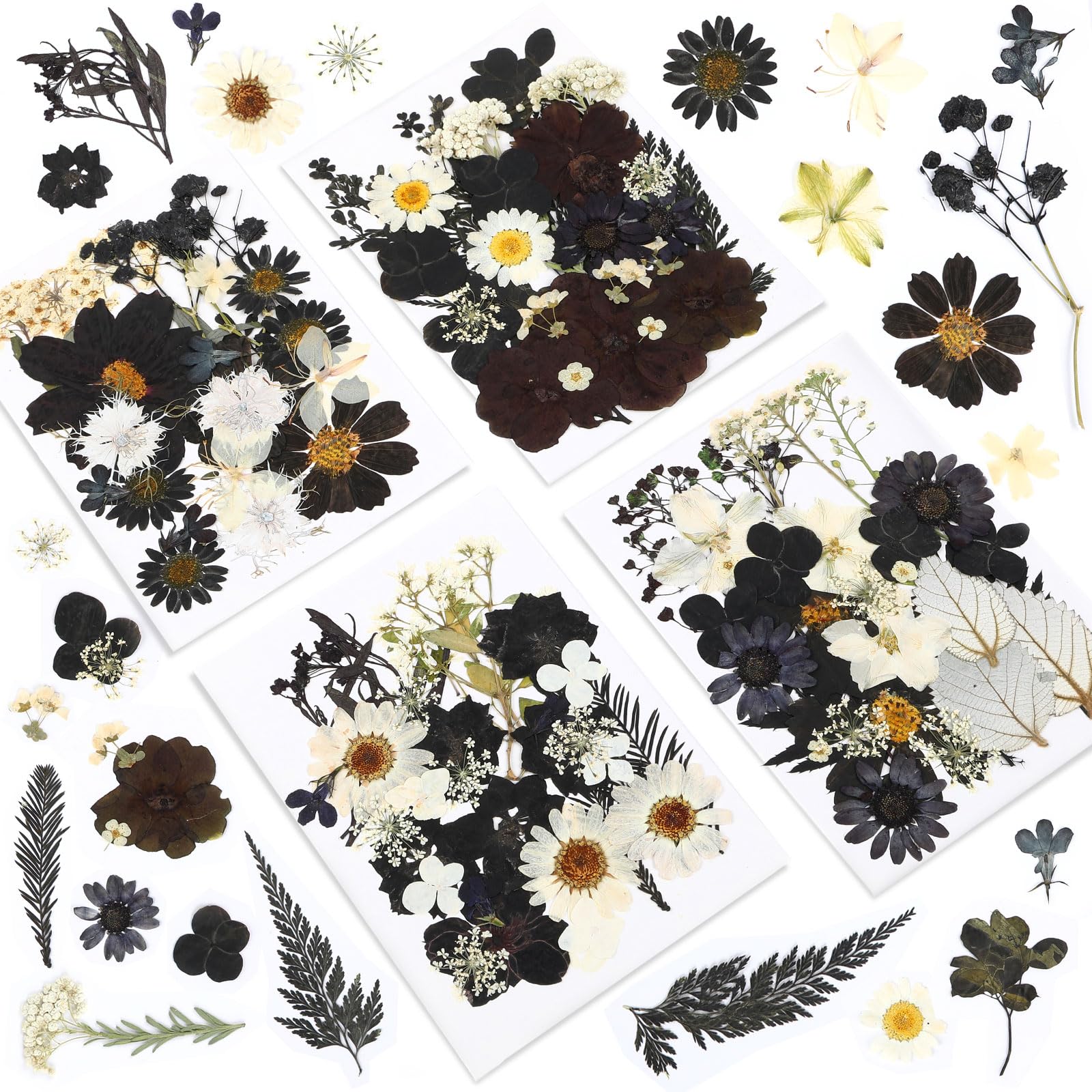 Augshy Black Dried Pressed Flowers, 120 Pcs Halloween Dried Flowers for Resin Molds Real Pressed Flowers for Crafts DIY Jewelry 
