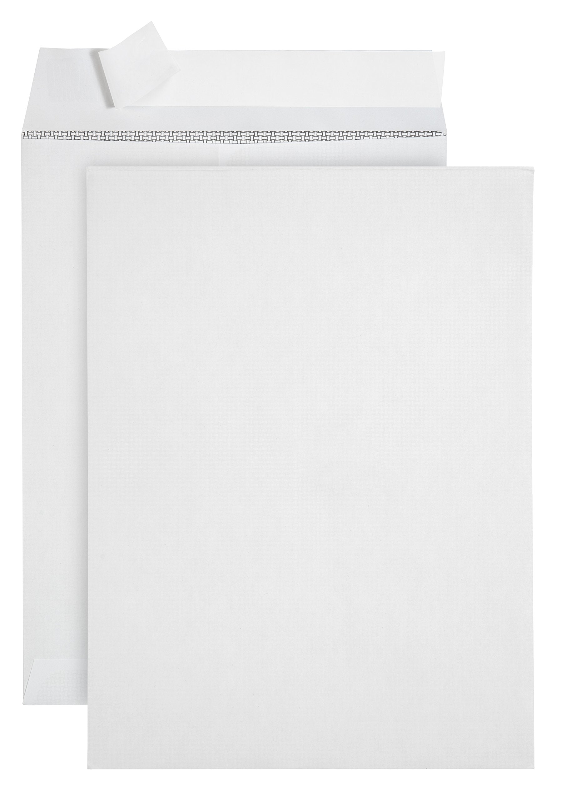 250 6 X 9 Self Seal Security Catalog Envelopes, Designed For Secure Mailing, Securely Holds Small Booklets, Catalogs, Cards, Or
