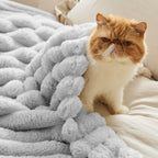 Bedsure Blankets Queen Size For Bed - Super Soft Cozy Blankets For Women, Cute Large Fleece Blanket For Girls, Light Grey,90X90