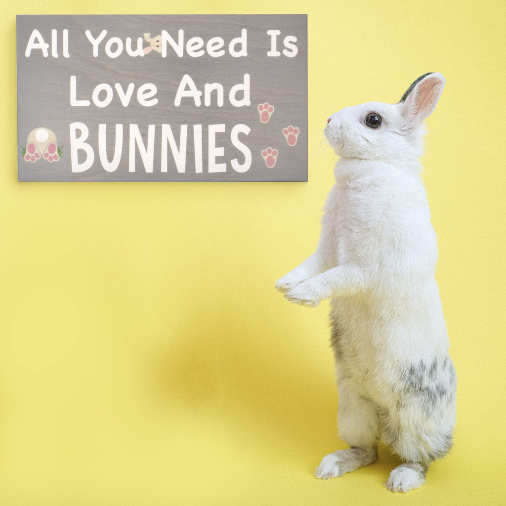 Jennygems Bunny Gift, Bunny Sign, Bunny Decor, All You Need Is Love And Bunnies, Made In Usa