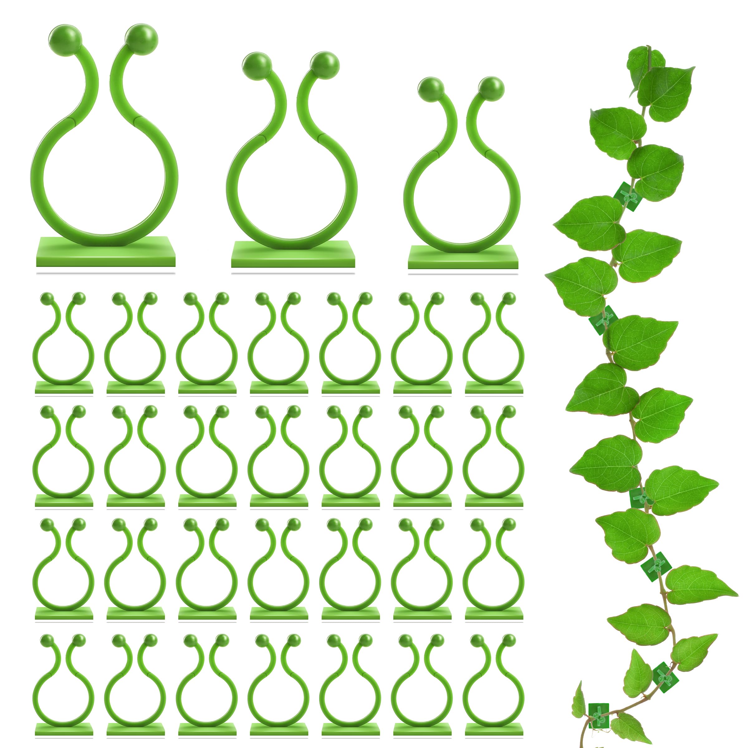 Ewpjdk Wall Clips For Climbing Plants 180 Pcs, Plant Clips For Climbing Plants, Wall Plant Holder For Vines Plant Clips For Indo