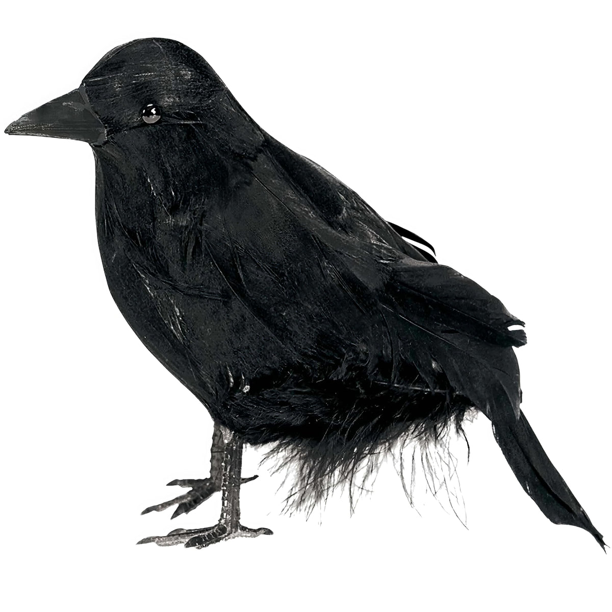 Halloween Haunted Feathered Raven