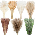 Treela 650 Pcs Dried Pampas Grass Decor Bulk 17' Dried Bunny Tail Fluffy Pompous Pampas Natural Reed Grass Bouquet Wedding Boho