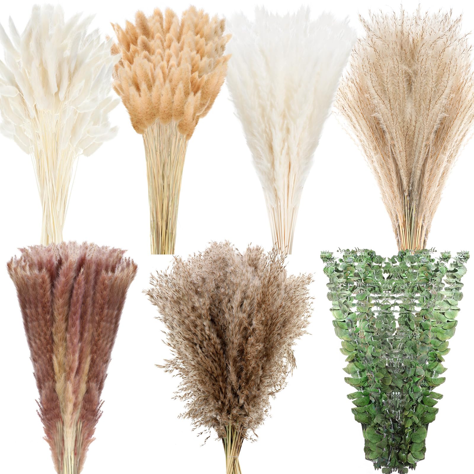 Treela 650 Pcs Dried Pampas Grass Decor Bulk 17' Dried Bunny Tail Fluffy Pompous Pampas Natural Reed Grass Bouquet Wedding Boho