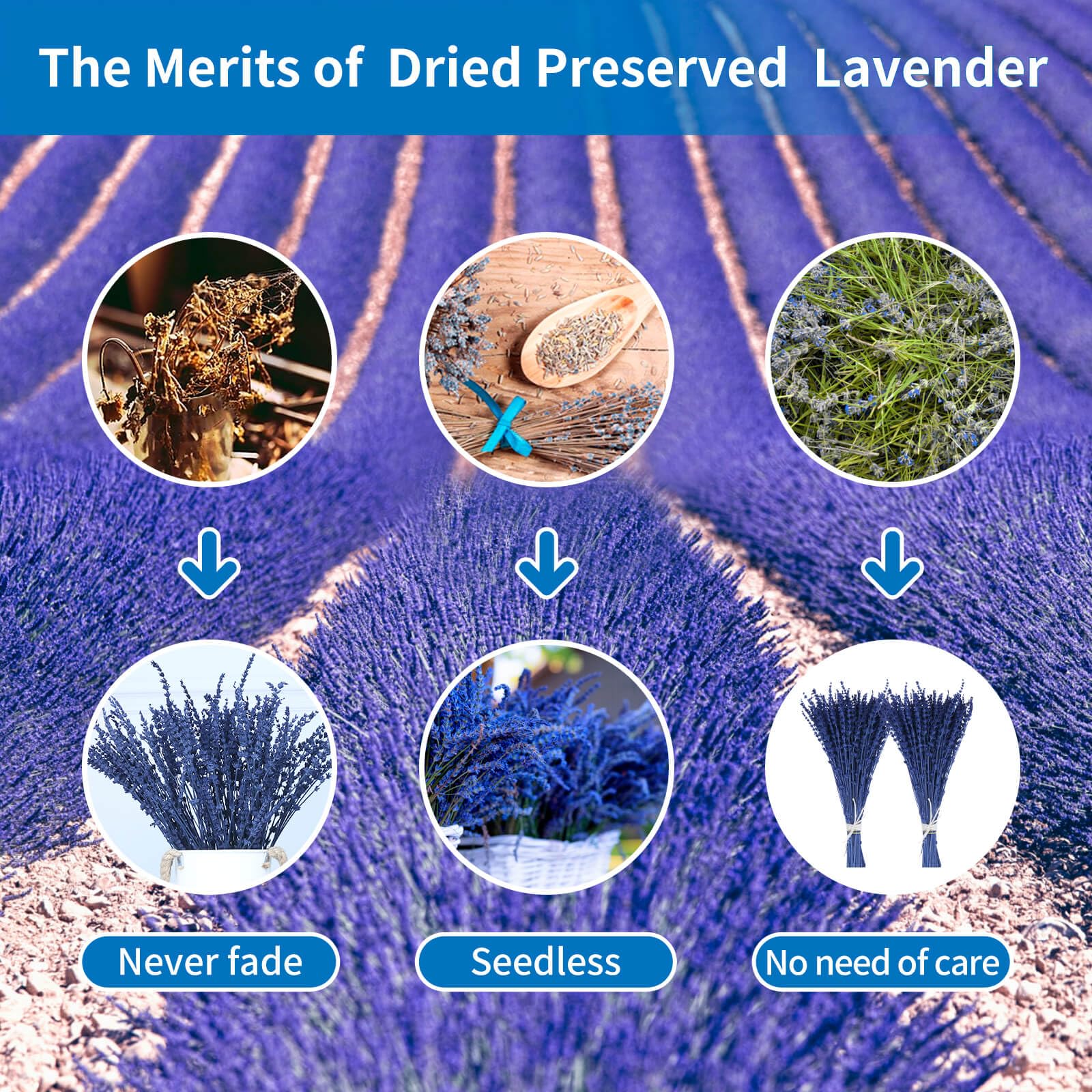 2 Bundles Dried Blue Preserved Lavender Flowers Bouquet-15''-17'' Blue Dried Flower For Home Wedding Shower Vase Centerpeice Bab