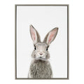Kate and Laurel Sylvie Female Baby Bunny Rabbit Animal Print Portrait Framed Canvas Wall Art by Amy Peterson, 23x33, Gray