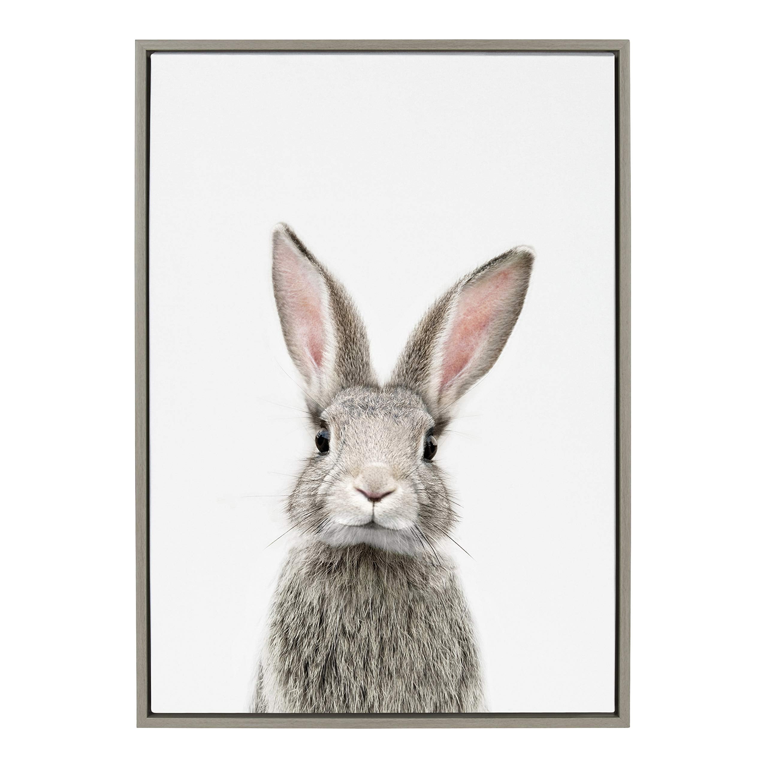Kate and Laurel Sylvie Female Baby Bunny Rabbit Animal Print Portrait Framed Canvas Wall Art by Amy Peterson, 23x33, Gray