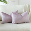 Otostar Pack Of 2 Velvet Soft Solid Decorative Throw Pillow Covers 16 X 24 Inch Pillow Covers Lumbar Cushion Case Couch Pillowcases For Sofa Bed Home Decor (Lilac)