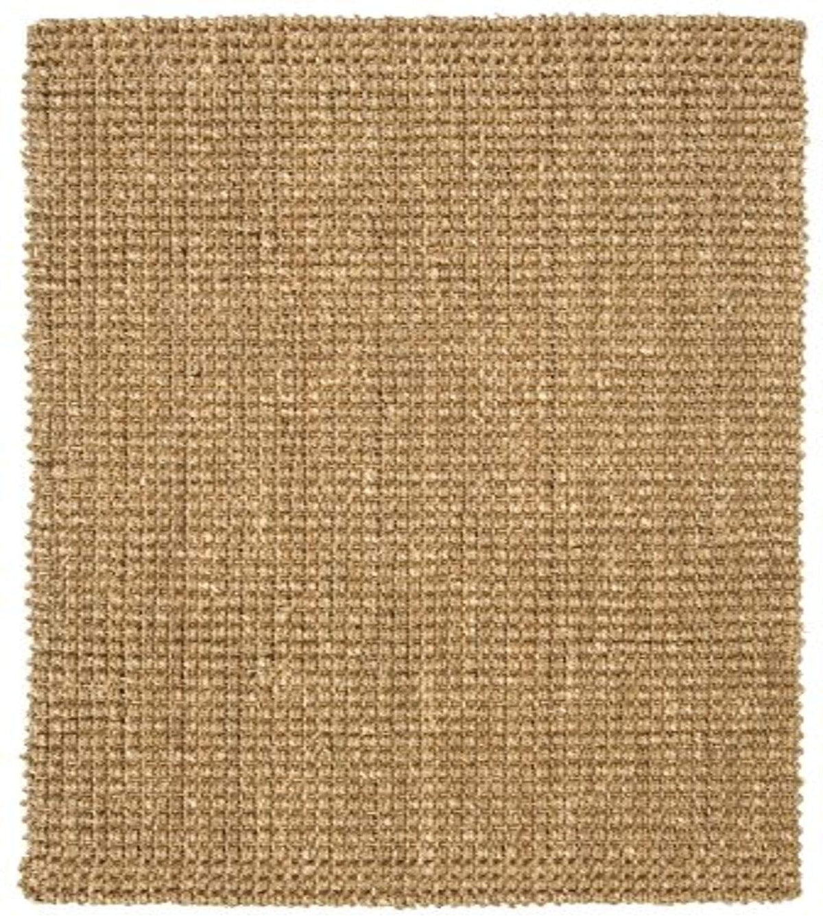 Alexa Natural Seagrass Rug 4' X 6'