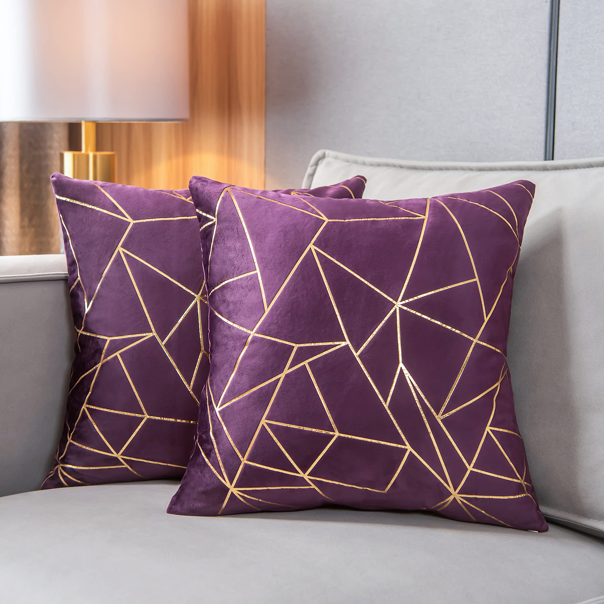 Yongliu Throw Pillow Covers Velvet Decorative 2 Packs Ultra-Soft Cushion Case For,Christmas,Sofa,Bedroom,Car Living Room (Shadow
