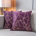 Yongliu Throw Pillow Covers Velvet Decorative 2 Packs Ultra-Soft Cushion Case For,Christmas,Sofa,Bedroom,Car (Shadow Purple And