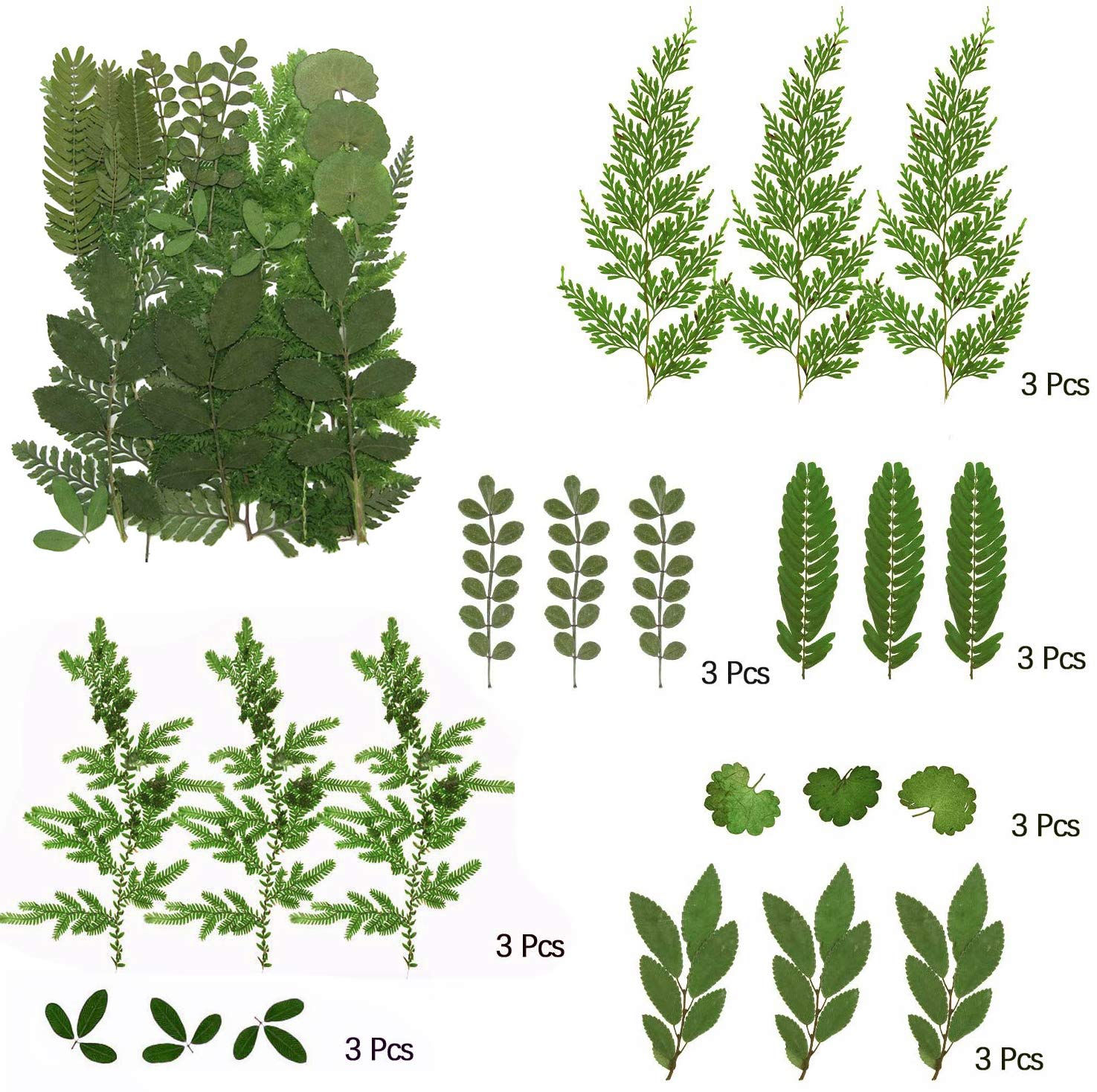 106 Pieces Assorted Real Dried Pressed Flowers Combination Real Dried Pressed Leaves Natural Dry Flowers Leaves For Resin Mold,