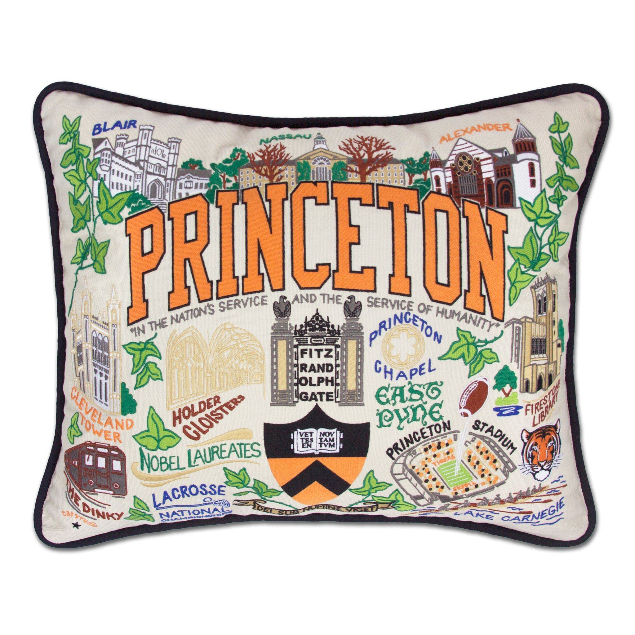 Catstudio Princeton University Collegiate Embroidered Decorative Throw Pillow